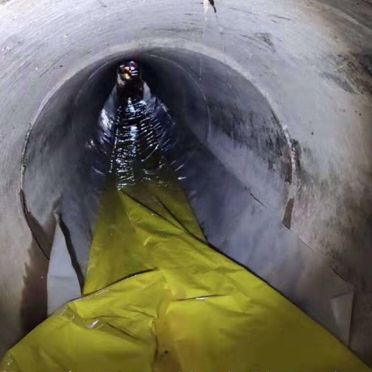 辉南管道光固化修复